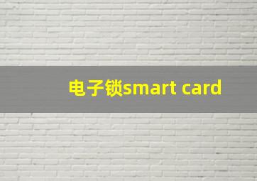 电子锁smart card